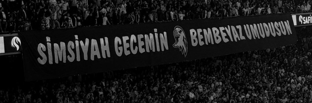 batnerdemli's profile banner image