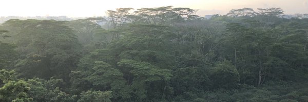 omc111 Profile Banner