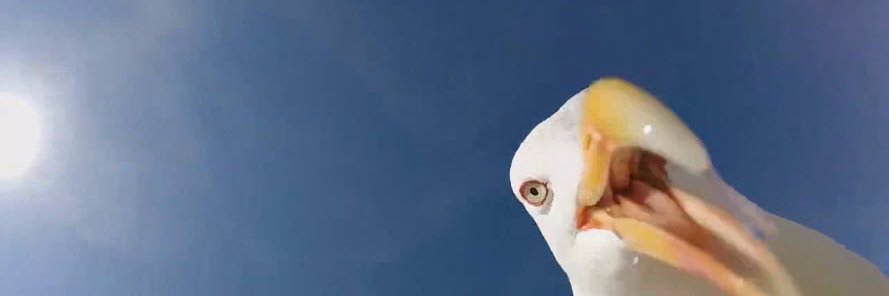 DDDGFRjuufdysP6 banner