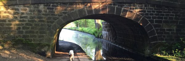 zephcurwen Profile Banner