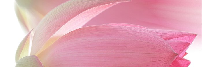 Debbie Time banner