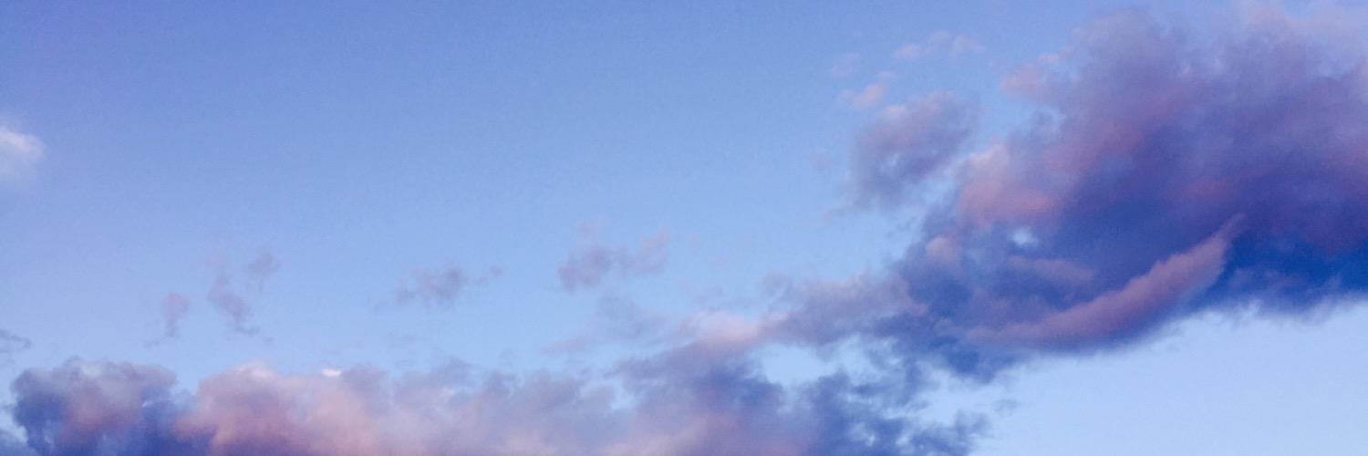 POLLYTOLLEY's profile banner image