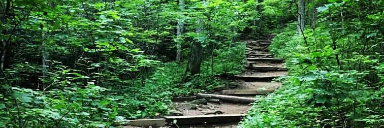 Kim Lang (U=CΓΔ) banner