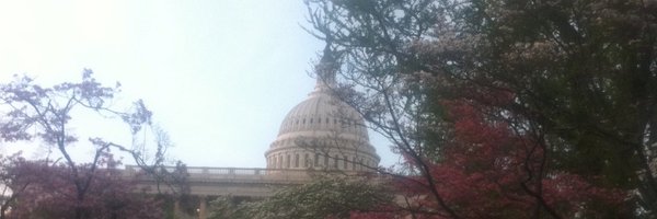 imck82 Profile Banner