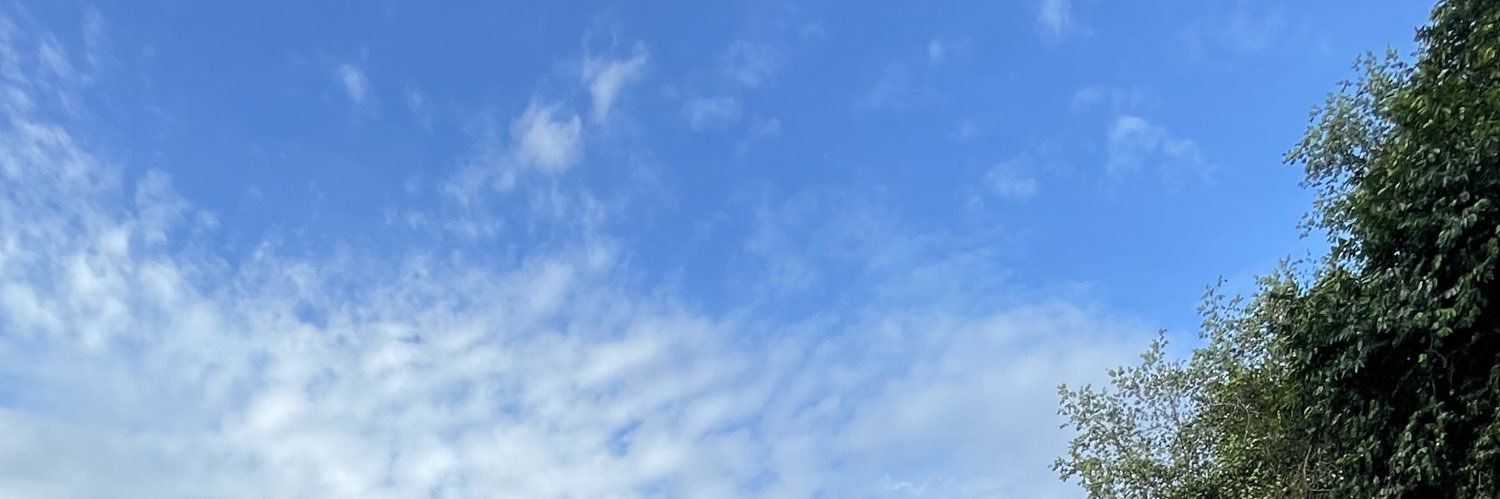 Michinyan_'s profile banner image