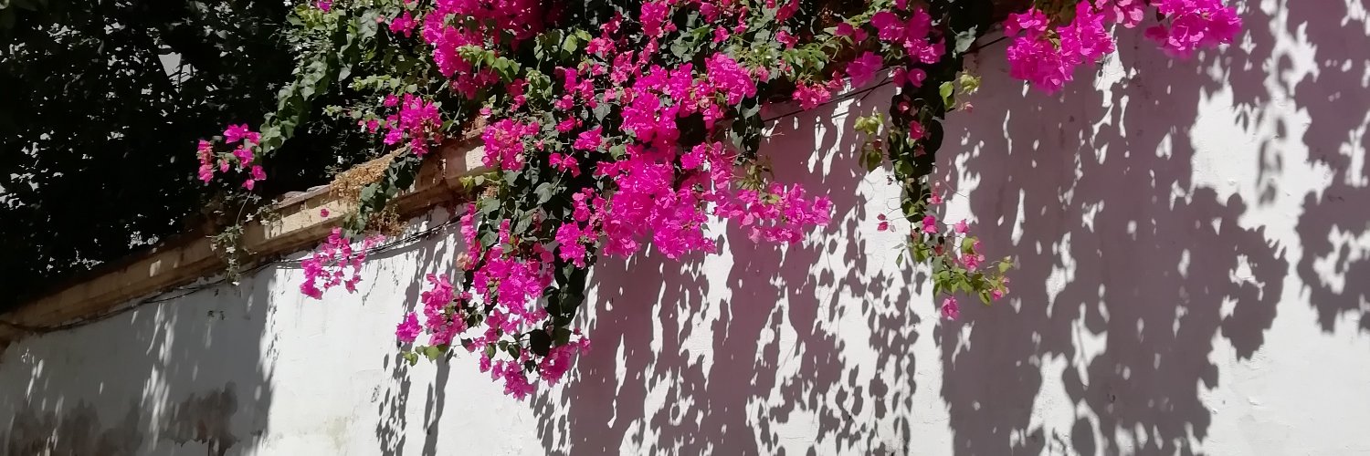 kiyaravenner's profile banner image