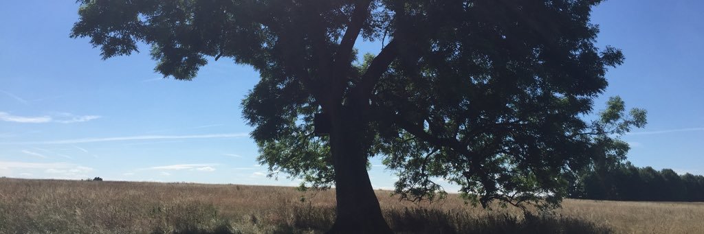 31_tam's profile banner image