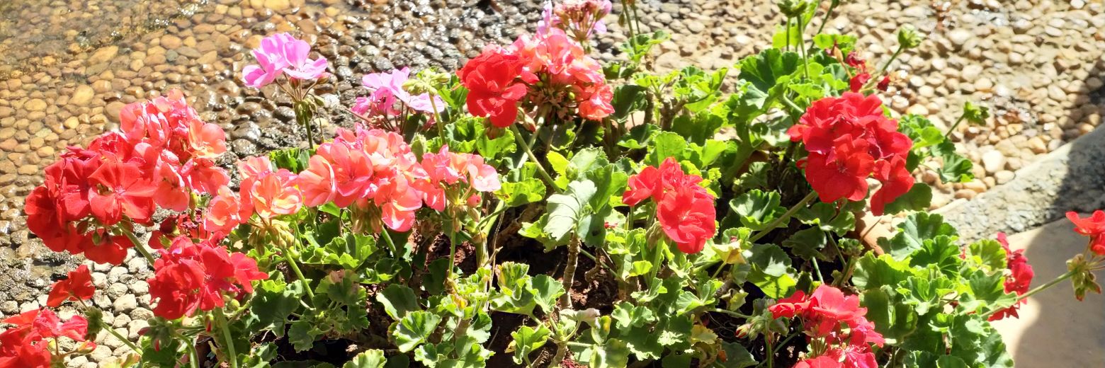 Michuki Maina banner