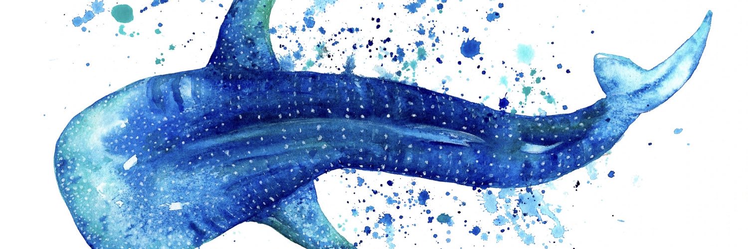MarineKeeks's profile banner image