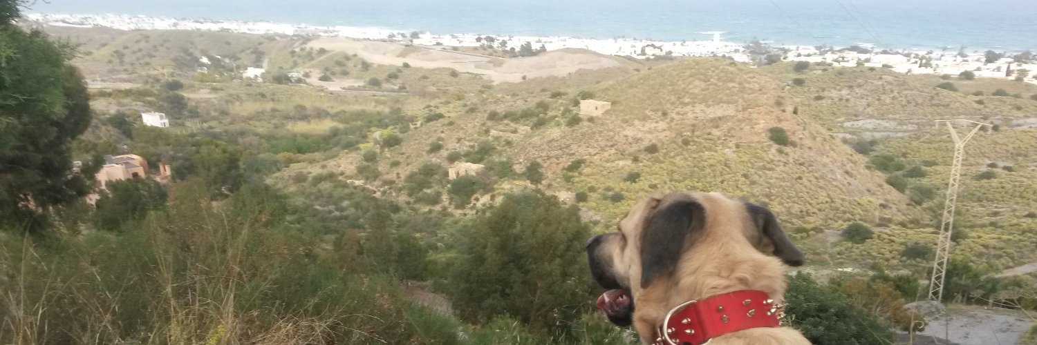 arnibionic's profile banner image