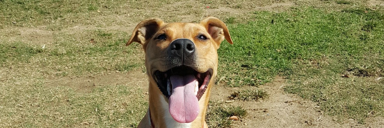 Sam Willoughby banner