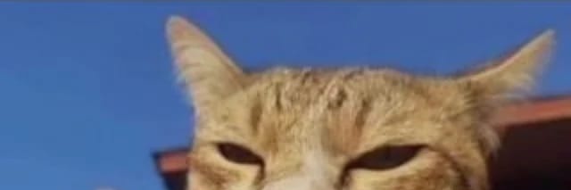 moon_chat7's profile banner image