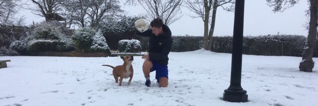 billlufc's profile banner image