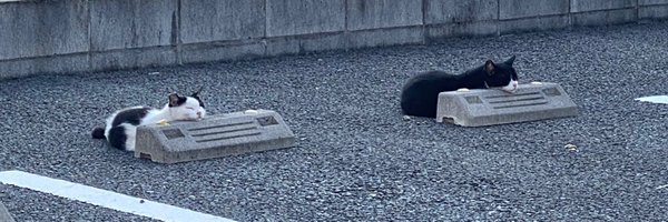 Setagaya1321 Profile Banner