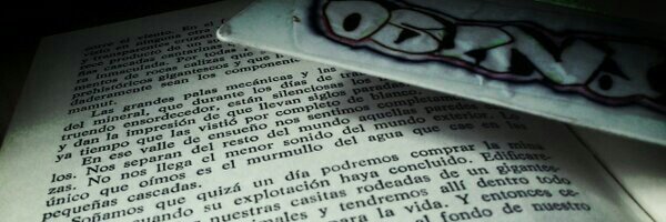 Osuna 🖌️ 🧱 banner