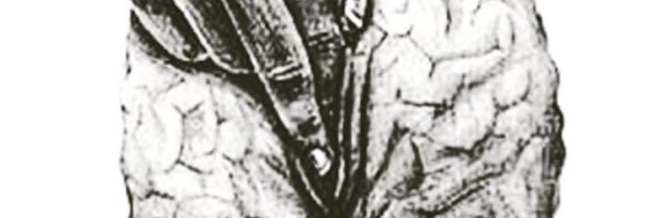 BrendaDyane's profile banner image