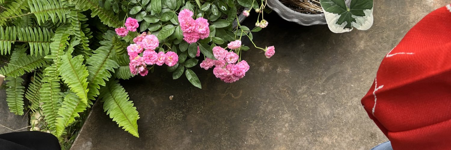 may ✿ banner