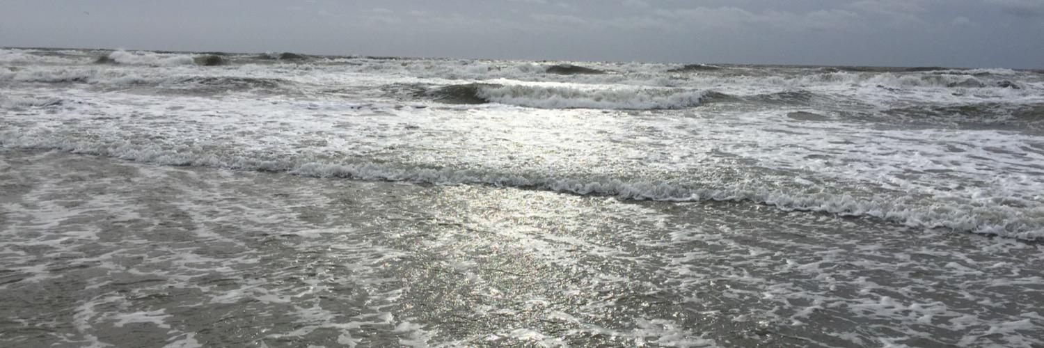 LINDA RAWLINS banner