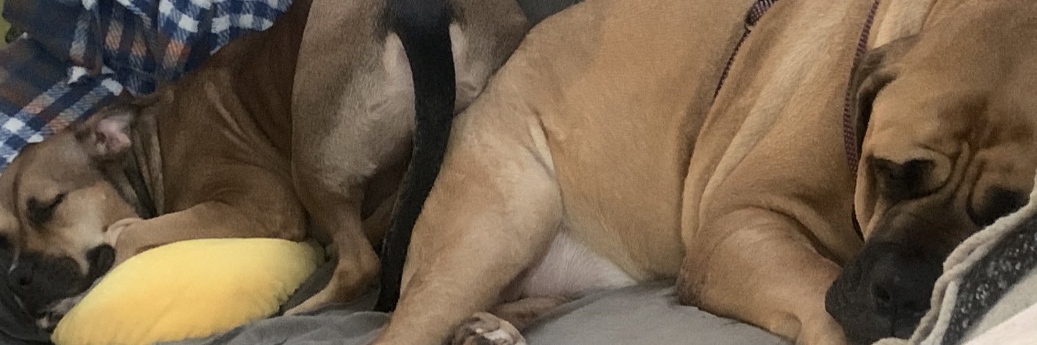 ElleCeeDubya's profile banner image