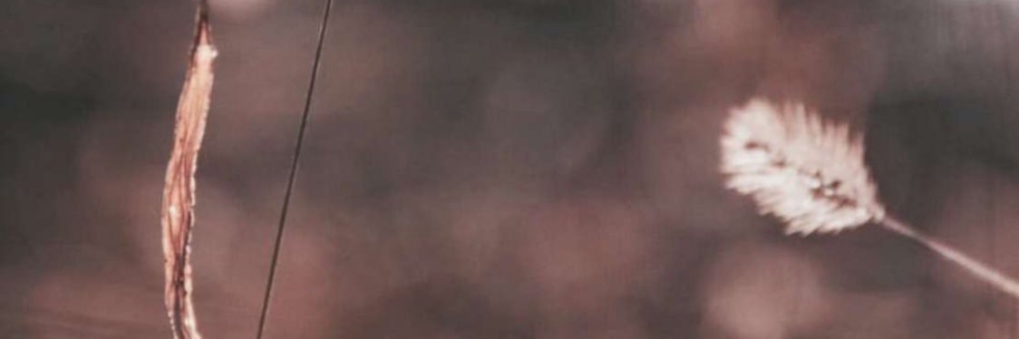 Rasamt9's profile banner image