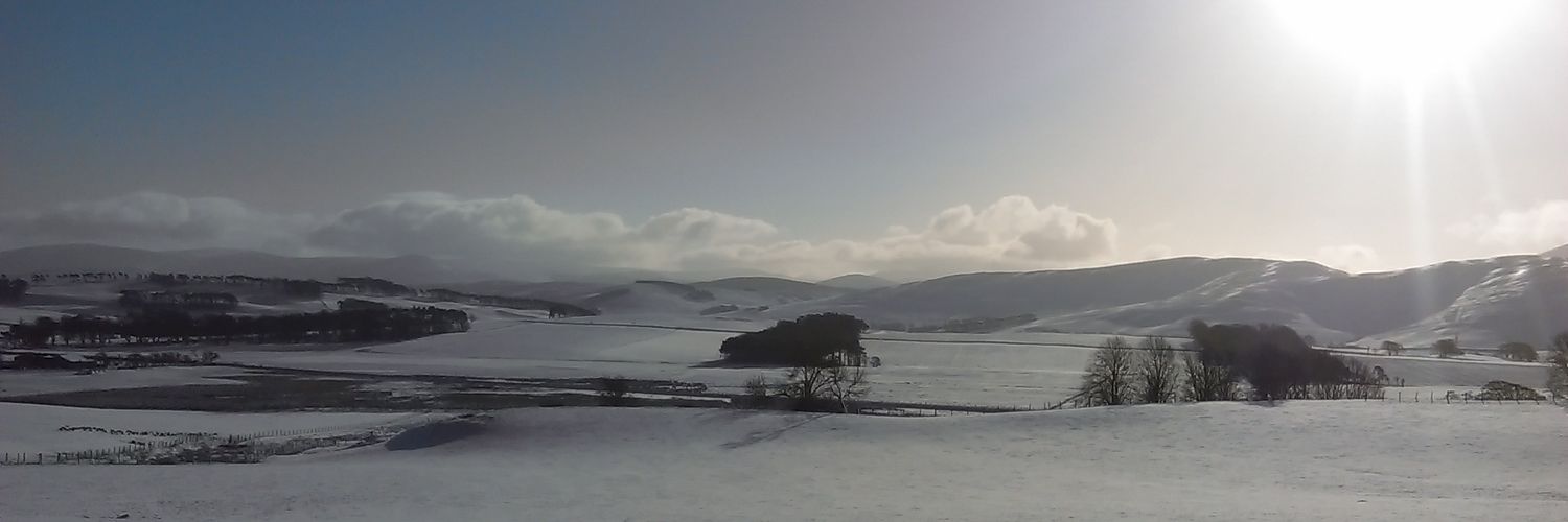 StruanHope's profile banner image