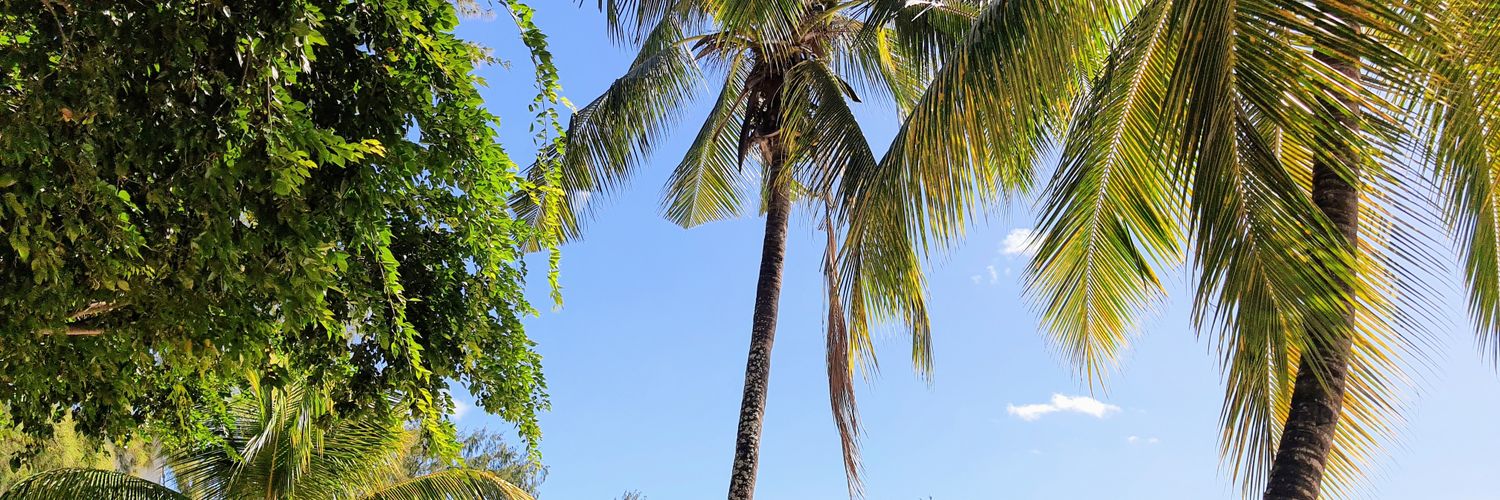 Sheila Camadoo banner