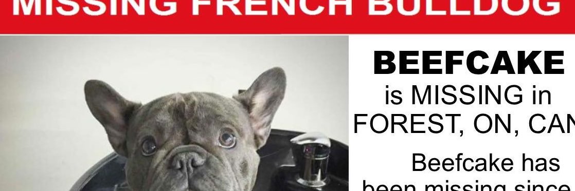 BrookeDudman's profile banner image