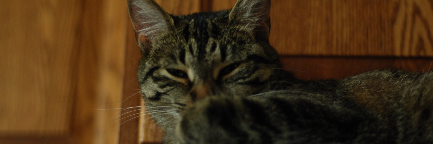 derek_gagnon's profile banner image