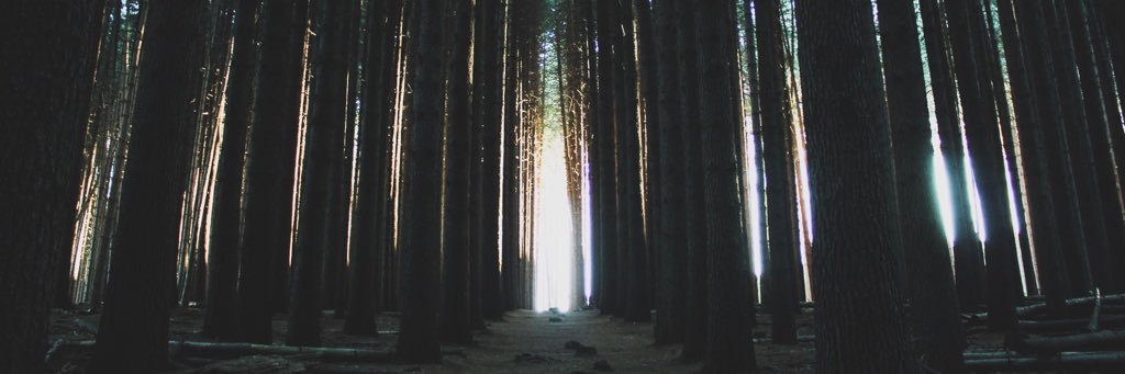 Shannonmaree83's profile banner image