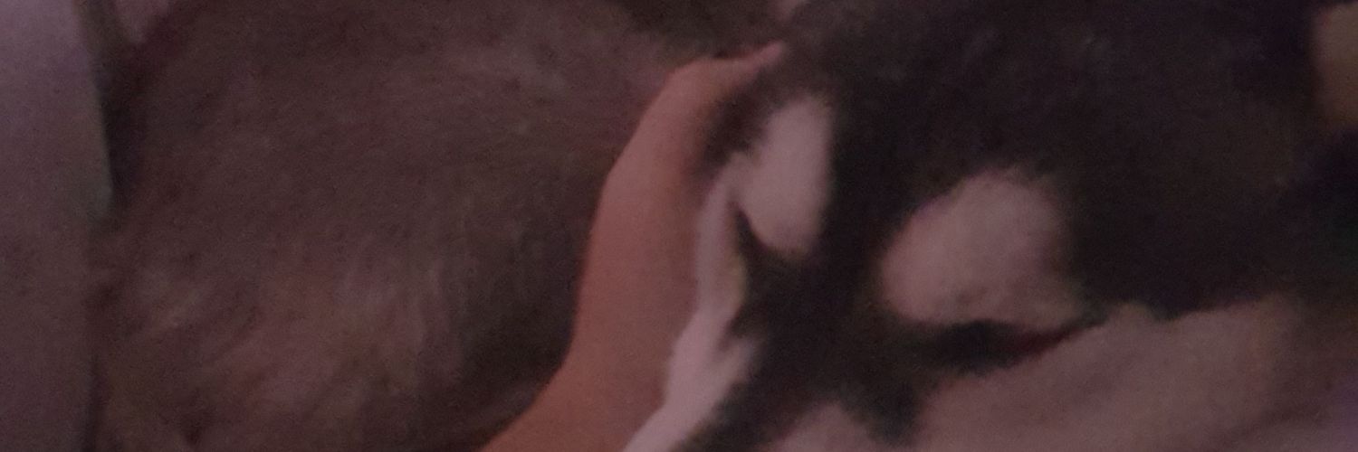 Spartancanal's profile banner image