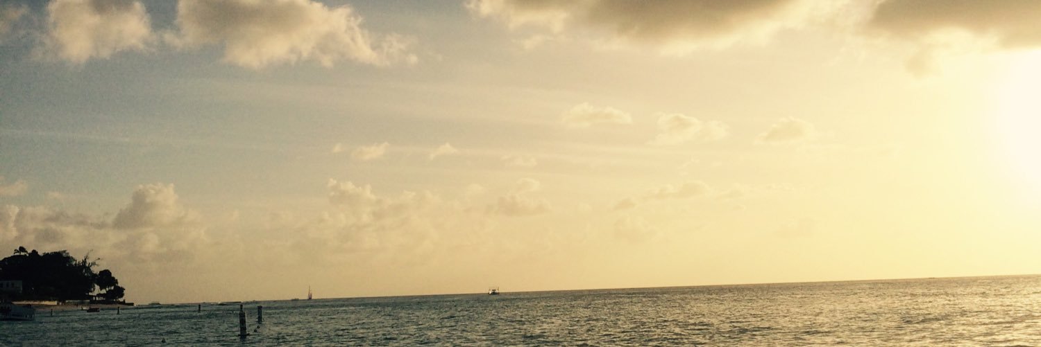 livwatson16's profile banner image