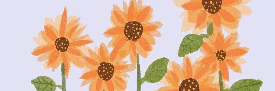 samhutami's profile banner image