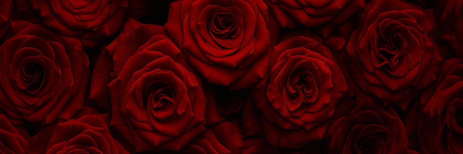modatas's profile banner image