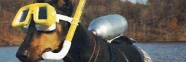 chichugimenez's profile banner image