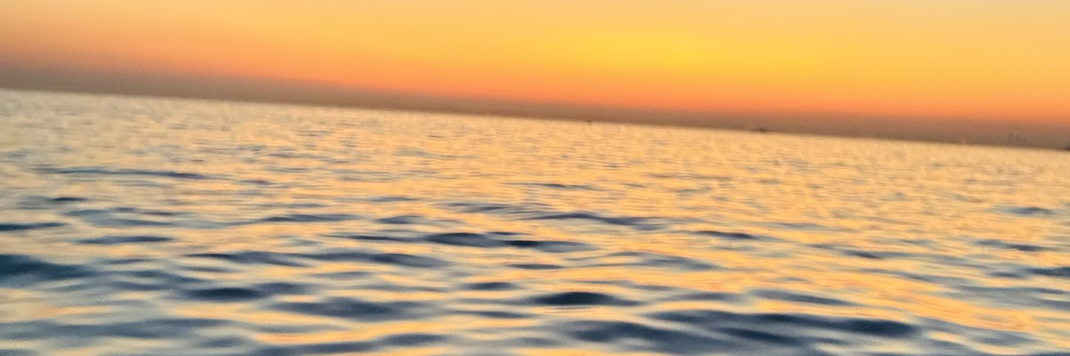 emelcham's profile banner image