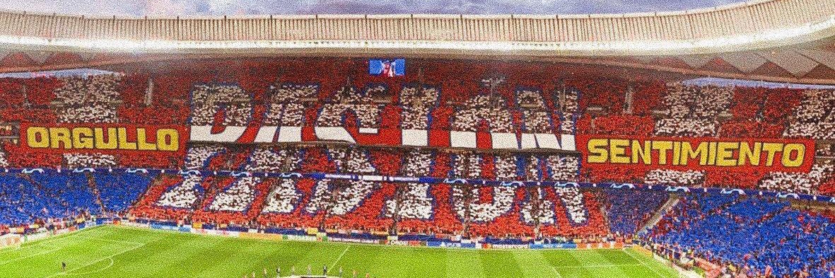 BertiMoreno5's profile banner image