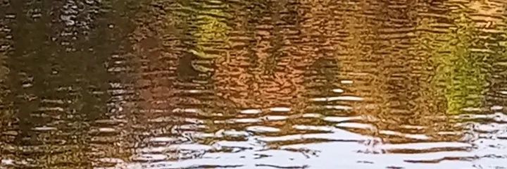 8K.Nunes 🌍🌏🌎😷💉5x banner