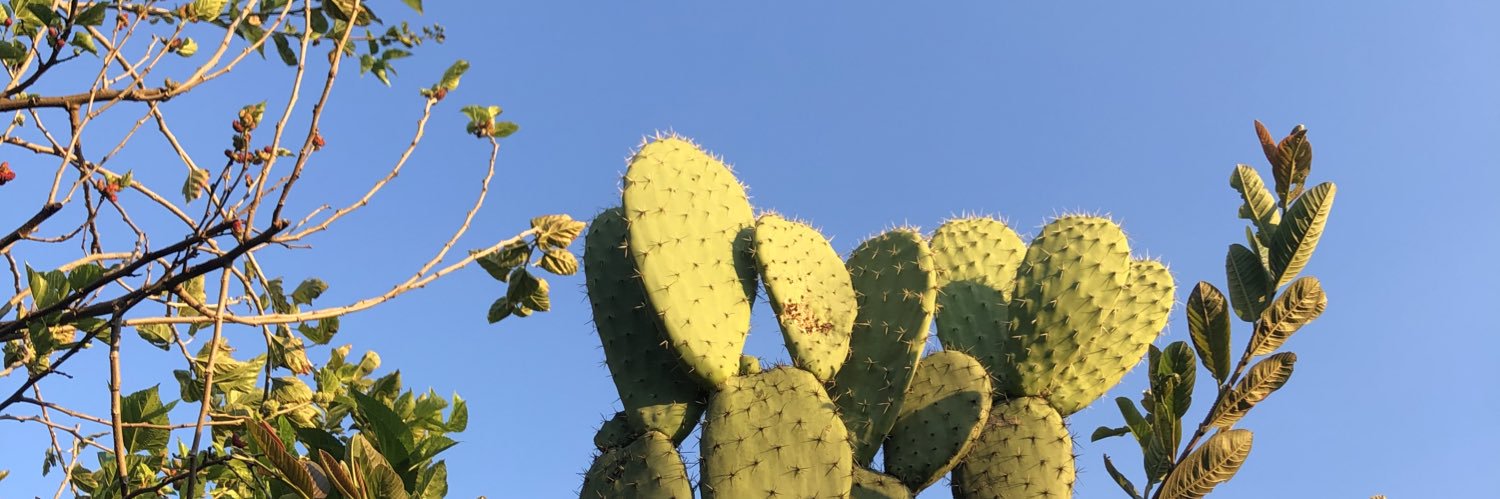 danivela27's profile banner image