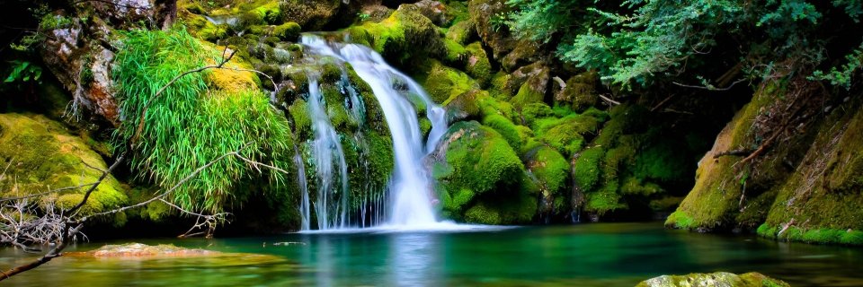 janam_sonu's profile banner image