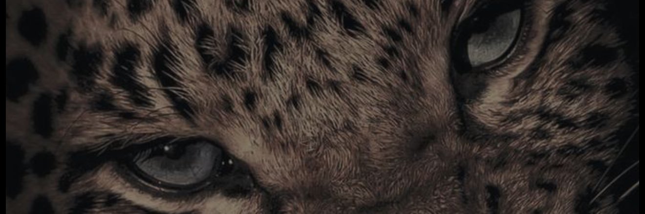 Rllx_9's profile banner image