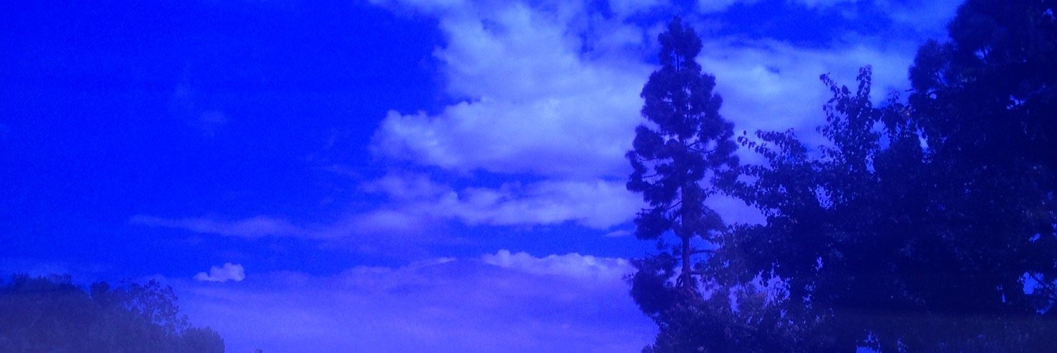 Ajarguilla's profile banner image