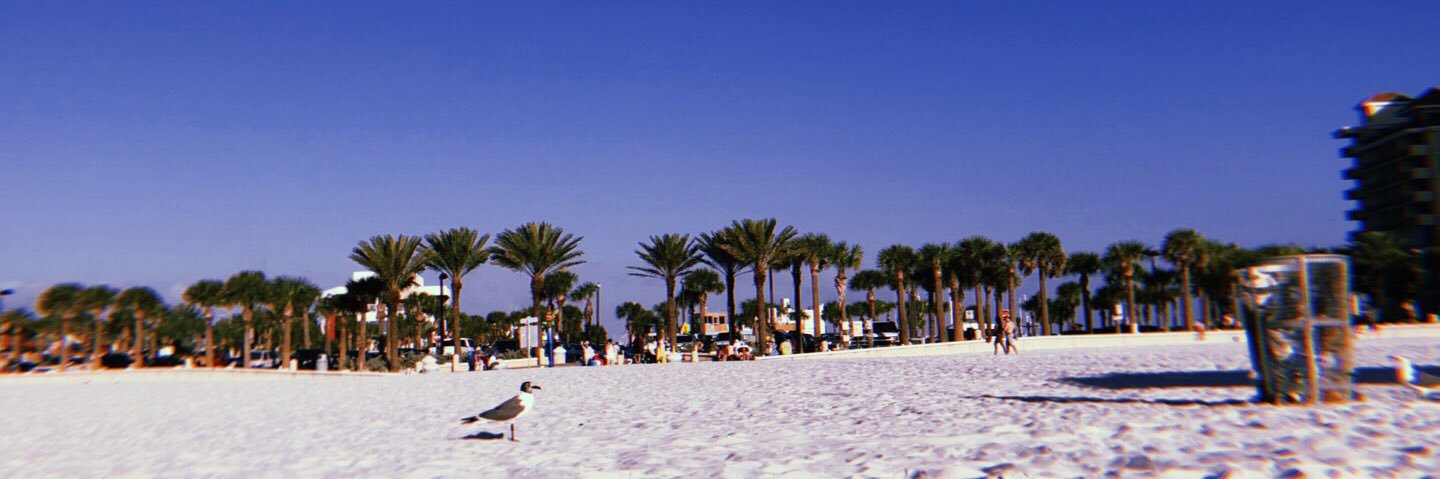 celeste_debra's profile banner image