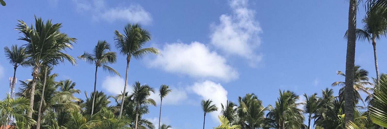 giigiixo_'s profile banner image
