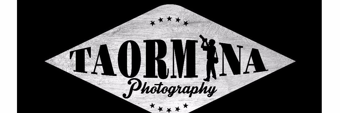 Troy Taormina banner