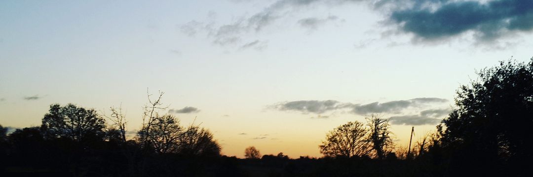 ThatMedBoy's profile banner image