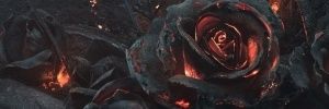 lim_0717's profile banner image