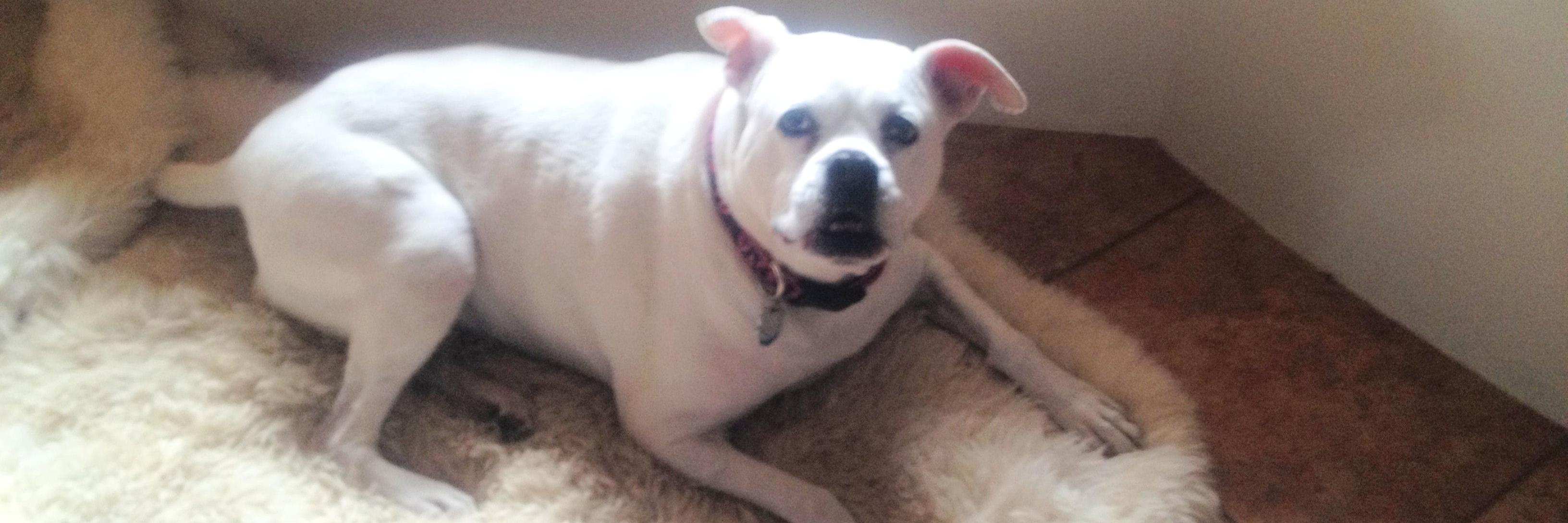 🇺🇸💋Drake👠 banner