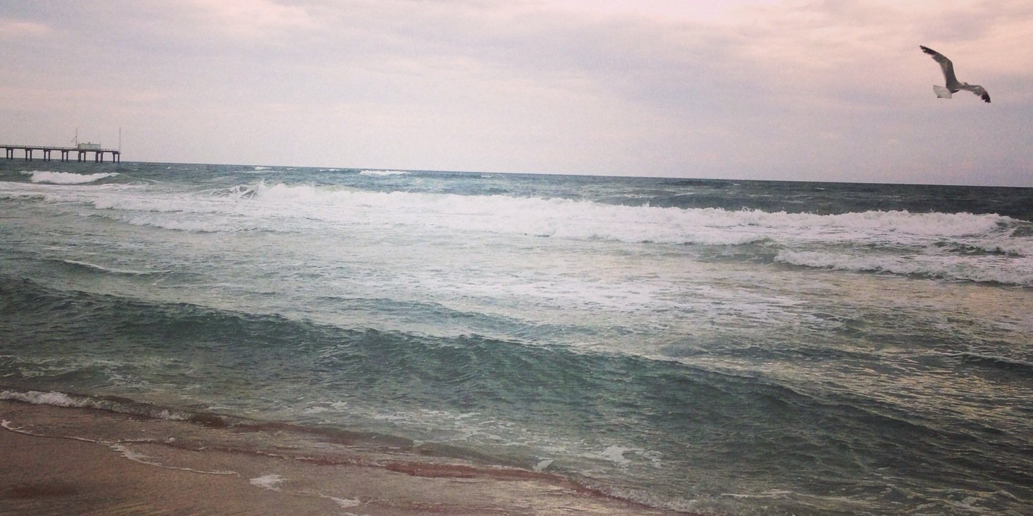 Martha Beyrau banner