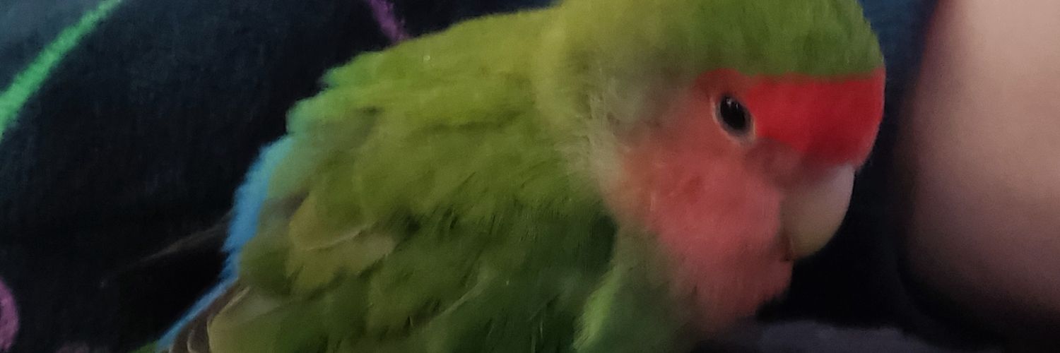 jcapitanmoreno's profile banner image