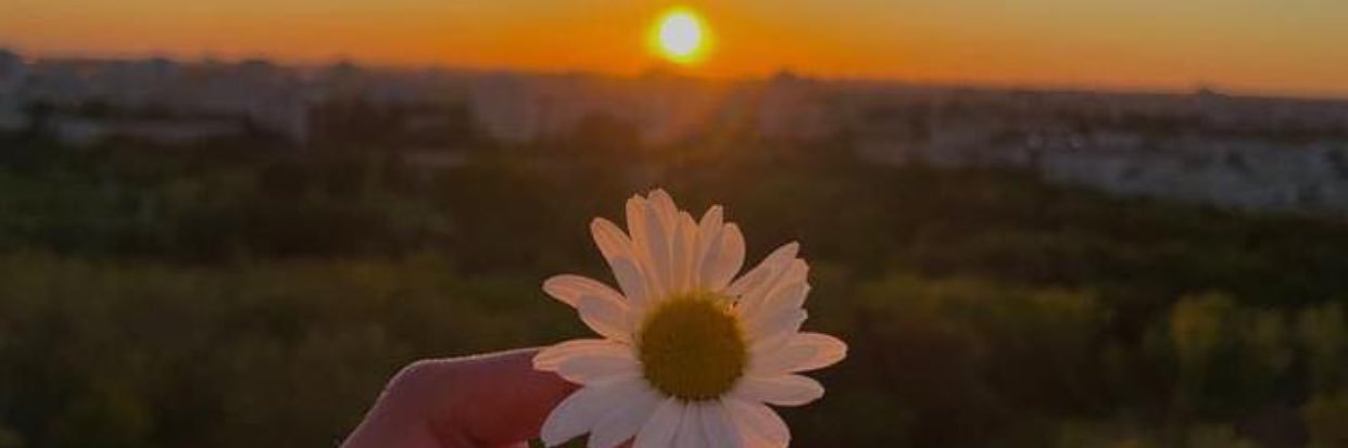 ไนท์ฟิล์ม banner